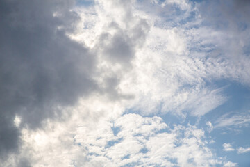 奄美大島の自然。午後の風景。
