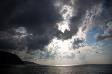 奄美大島の自然。午後の風景。