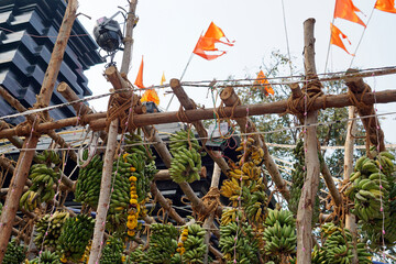 hindu banana festival in baga goa