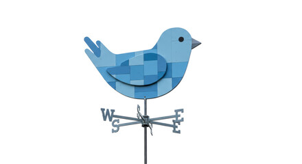 Isolated Weather Vane Bird