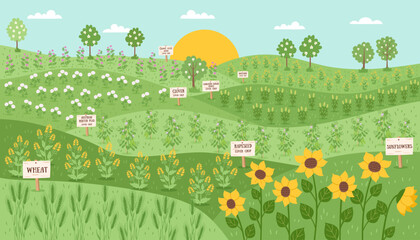 Sustainable and regenerative farming concept banner. Gardening nature landscape. Fields with different types of cover crops. Vector hand drawn flat background.