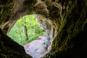 cave in the forest