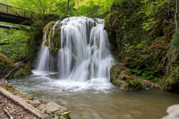 waterfall in the forest