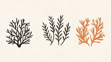 Three stylized seaweed illustrations, nature design,  website decoration