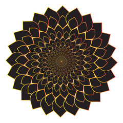 vector round floral design two