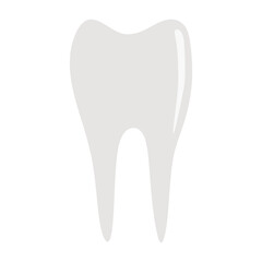 tooth isolated vector