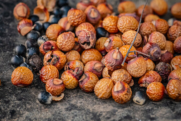 Kiyosu Castle with illuminated red bridge at twilight, Aichi Japan