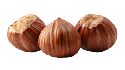 Three hazelnuts on white background, PNG, created with Generative AI