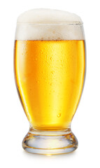 Glass of chilled light beer with beer foam head.