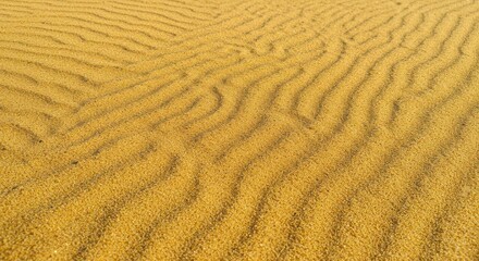 Fototapeta premium A close-up view of sand with smooth, wavy patterns formed by wind. The golden texture and lines create a calming, natural scene, showcasing the beauty of the desert or beach environment.