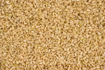 top view flat lay dry brown short grain unpolished rice or Japanese brown rice food background texture