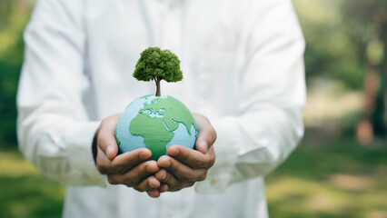 World Environment Day, hand holding earth globe and tree. Sustainable Environmental conservation....