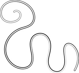 ink outline abstract squiggle line