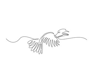 Hornbill bird outline drawing illustration. one continuous line drawing of flying hornbill bird.