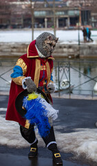 Disguised Person- Annecy Venetian Carnival 2013