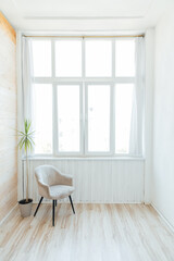 Armchair and plant in the interior of an empty room with a window