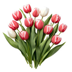 Fototapeta premium Red and white tulips bouquet floral arrangement spring flowers