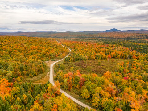 Aerial view of a scenic autumn forest in Maine, USA, showcasing vibrant fall colors and a winding off-road path.