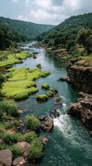 River flows through a lush, green, natural landscape