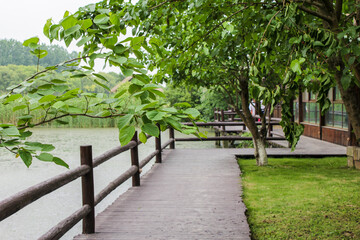 The Scenery of Wuzhen Ancient Town in Zhejiang, China
