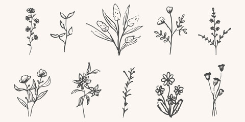 Wild forest herbs and flowers vintage textured chalk drawing sketch. Line grass retro flora silhouette. Crayon doodle hand drawn