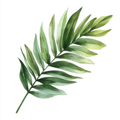 Fototapeta premium Minimalist watercolor illustration painted with peaceful, aesthetic vibes