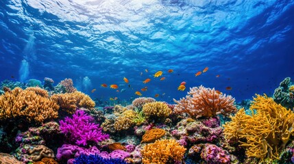 Fototapeta premium A vibrant coral reef teeming with colorful marine life underwater