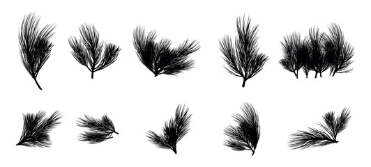 A set of black silhouette Christmas tree green branches for a Christmas decor. Branches fir tree, pine isolated.
vector illustration