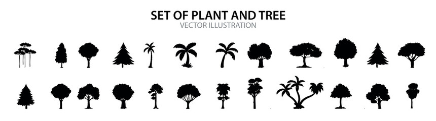silhouette tree line drawing set, Side view, set of graphics trees elements outline symbol for architecture and landscape design drawing. Vector illustration in stroke fill in white. Tropical  vector