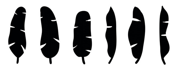 Banana tree hand drawing, engraving, ink, line art, vector illustration, Banana leaves , Banana palm tree collection, Design element for wallpaper, cover design, tropical pattern, line arts texture, p