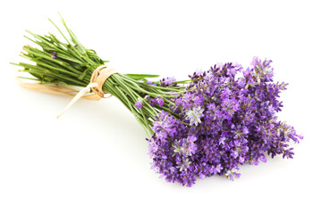 Lavender Bouquet on white background