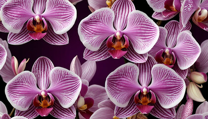 Vibrant purple orchids in a repeating pattern
