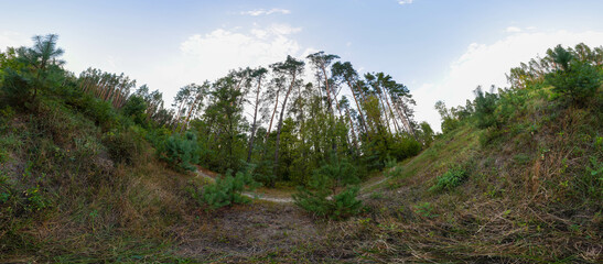 Full seamless 360 degree angle view spherical HDRi panorama of green forest trails during autumn season in equirectangular projection. AR VR virtual reality content scene natural landscape panoramic