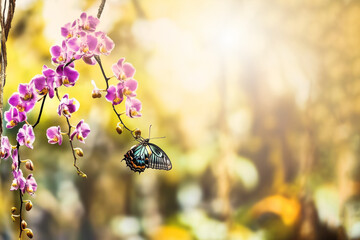 Vibrant tropical butterfly resting on a flower orchid in a tropical forest. Harmony of wild nature, tranquil atmosphere, blurred background of foliage and exotic plants in morning sun light.