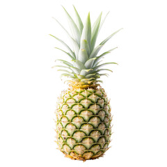 Fototapeta premium pineapple isolated on white background