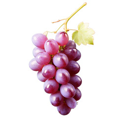 Fototapeta premium grapes isolated on white