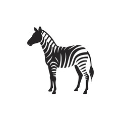 Stripped zebra animal mammal