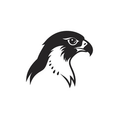 Falcon head vector illustration