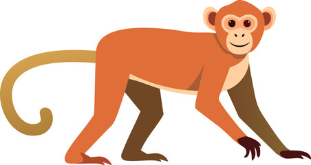 illustration of a cartoon monkey