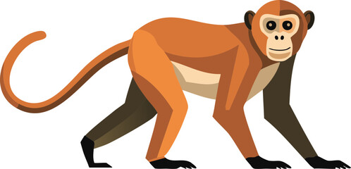 illustration of a cartoon monkey