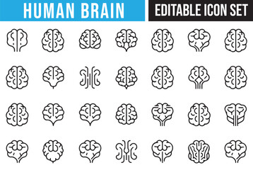 Set of Vector Human Brain Icons for Research and Innovation