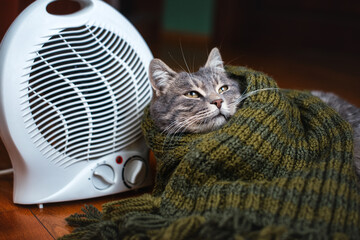 A funny gray cat, wrapped in a warm scarf, is warming himself near an electric heater. Suitable for creating a positive mood in advertising of household goods. Heating season.