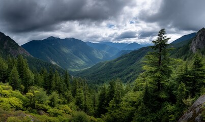 Fototapeta premium Mountain valley, lush forest, dramatic clouds, scenic view, nature photography, outdoor exploration