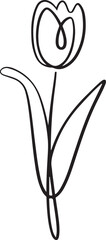minimalistic continuous line art of a tulip flower with delicate petals black linear botanical sketch elegant vector floral illustration simple design isolated on a white background
