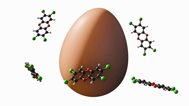 a 3D animation of molecular model of dioxin are rotating an egg. The potential contamination of food sources by highly toxic compound dioxins.
