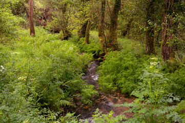 Medio River Trail, Miño