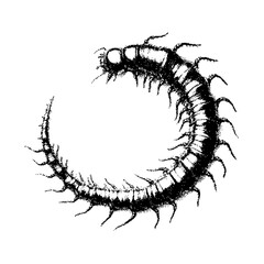 Dark Aesthetic Dithering Element