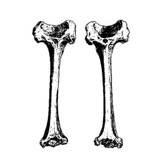 Dark Aesthetic Dithering Element