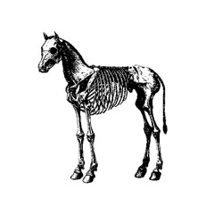 Dark Aesthetic Dithering Element