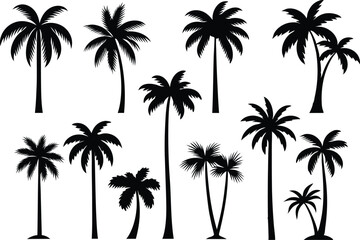 Assorted Palm Tree Silhouettes


